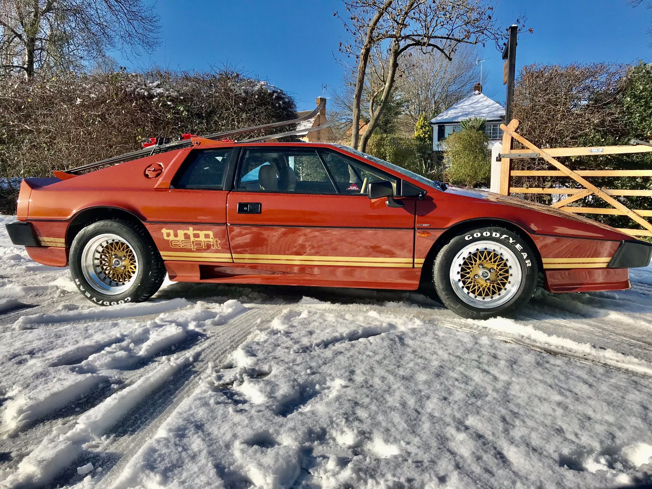 Lotus Esprit Turbo 1982 - Fabian Steele